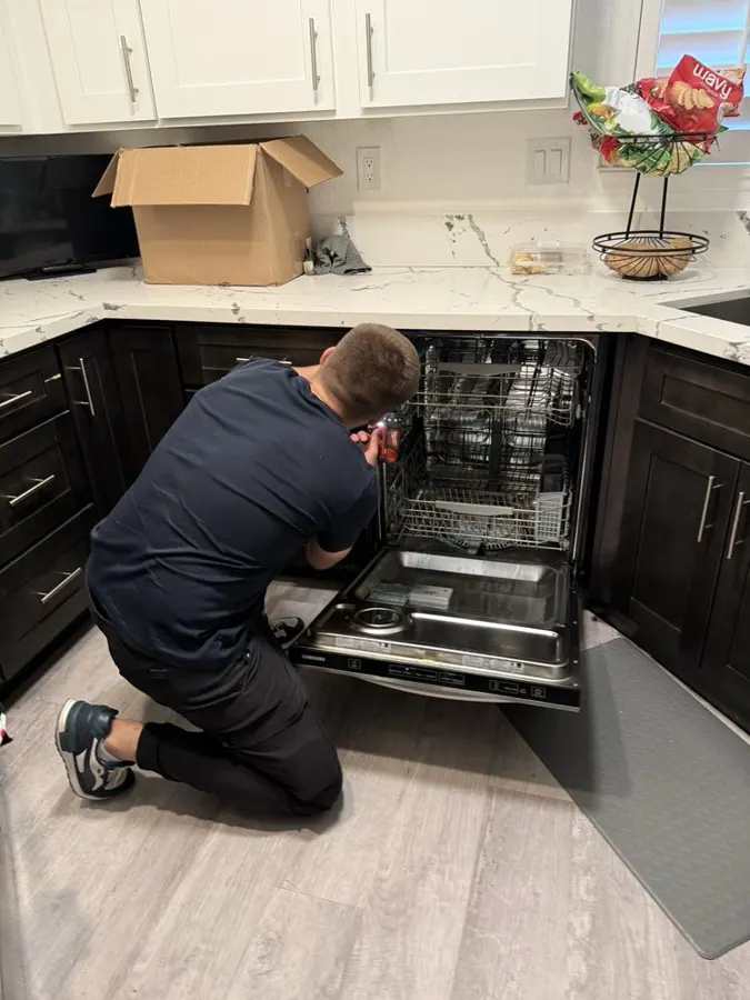 Dishwasher repair
